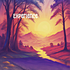 Experience