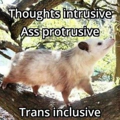 tmtbipbarnm3atrwtslm V.2.0