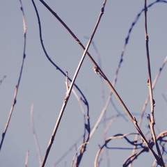 Fuge - Raw and Unmastered