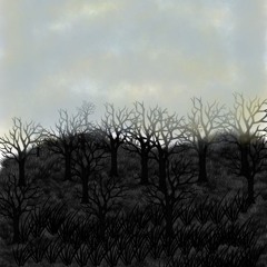 a forest glow