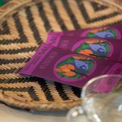 Kakao: słodkie rozwiązanie dla utrzymania bioróżnorodności czy kolejna ekspansywna uprawa?