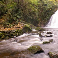 HOW TO PLAY THE GAME 7.4 VOX