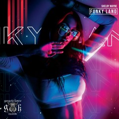 Shelby Wayne - Funky Land