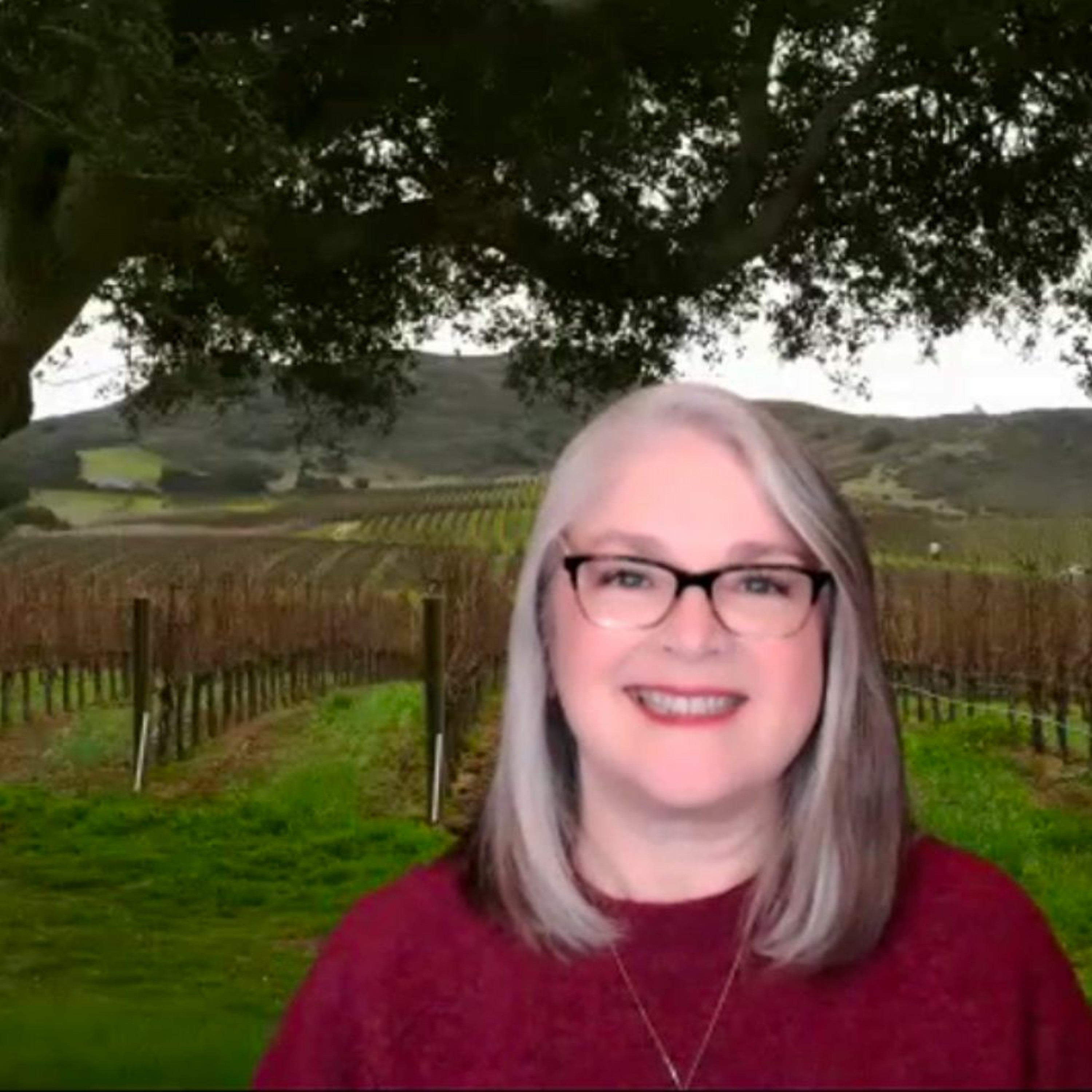 Santa Barbara Talks: Jenelle Osborne, Lompoc Mayor, Runs for 3rd DistrictCounty Supervisor episode artwork