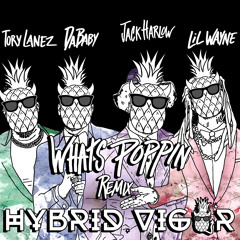 WHAT'S POPPIN (Hybrid Vigor Remix)- Jack Harlow ft. DaBaby, Tory Lanez & Lil Wayne