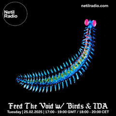 Feed The Void w/ Birds & IDA - 25th february 2025