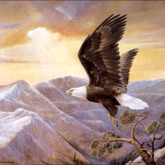AmericanEagle [Prod. EternalWave]