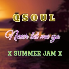 QSOUL - NEVER LET ME GO