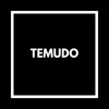 TEMUDO | 07 de 20 DJ mix artwork - Electronic music tracklist cover image