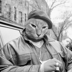 Not The Only Big Poppa