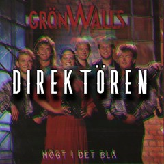 VARJE LITET ÖGONKAST - DIREKTÖREN