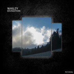PREMIERE: Wailey - Divination (Original Mix) [POLYPTYCH]