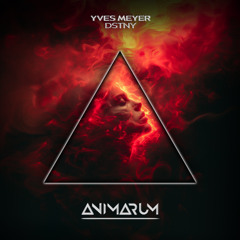 Yves Meyer - DSTNY
