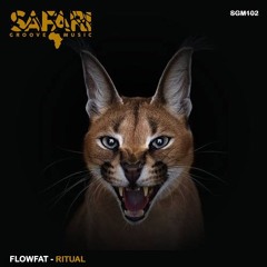 FLOWFAT - Get Down [SAFARI GROOVE]