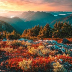 AUTUMN PROG MIX