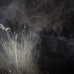 sacrifice / resurection