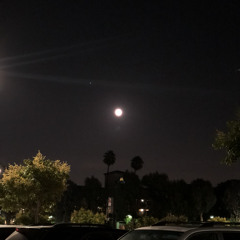 Forevermore - Vanya Castor (cover)