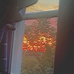 prema dolje (downward) (prod. curtes)