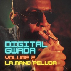 Digital Gwada - Volume 2 (The digital sound of Guadeloupe in the 80s)