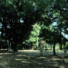 Log_20241007（demo）