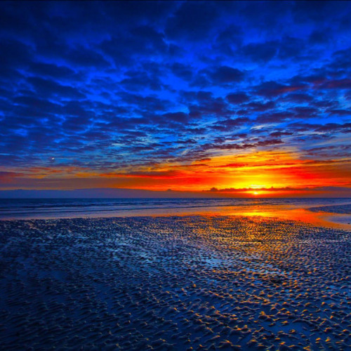 Searching for Something Different