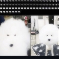 it feels so good (sonique)