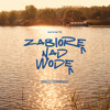 Disco Domingo - Zabiorę  Nad Wodę (OTAKE 079)