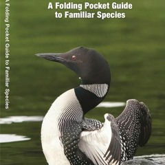 ✔Ebook⚡️ Minnesota Birds: A Folding Pocket Guide to Familiar Species (Wildlife and Nature Ident