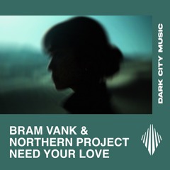 Bram VanK & Northern Project - Need Your Love (Extended Mix)