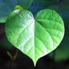 Finding Relief When Suffering