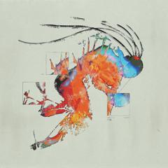 Brain