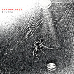 SYN Premiere: PANTONIUS31 - REPORTHIM [NSM003]