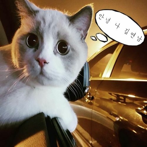 음음라스공
