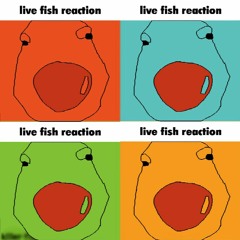 MATA KILLERFISH 2000