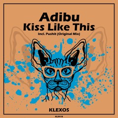 Pushit (Original Mix)