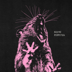 Noche Perpetua