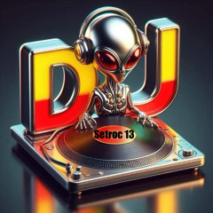 ENERO 25 SETROC 13