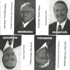 kunta haji - persistent vision (rites of spring cover) (2011)