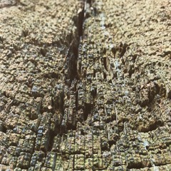 First knock, then wait