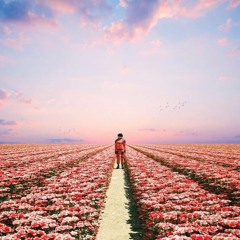 Raychillout - Let Me Go