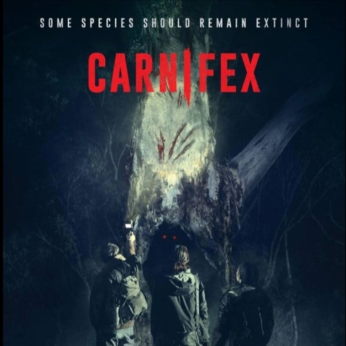 CNFX 5m1 Don't Move