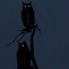 EvilTwin(feat. SER3NITY)