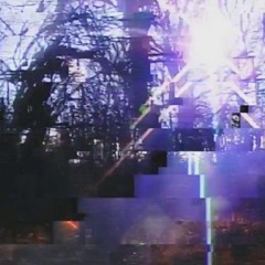 2049