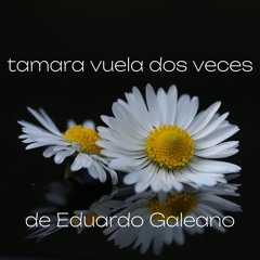 Tamara vuela dos veces