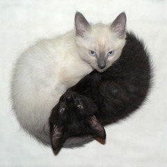 yiru - when im around prod ivv