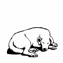 let sleeping dogs lie