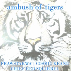Ambush Of Tigers (FRAWSTAKWA & Cosmic Keanu)