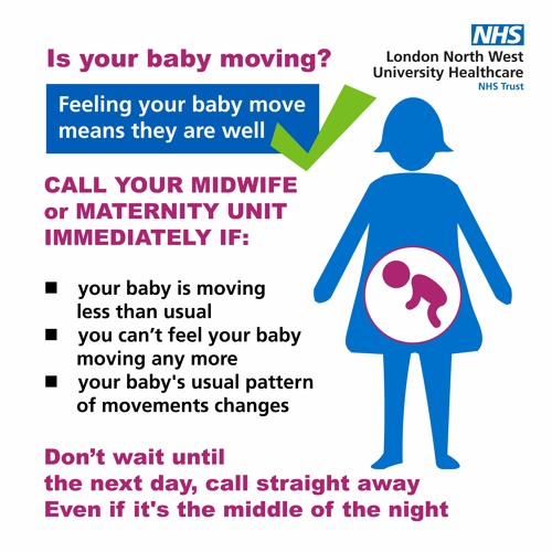 Stream Tamil Translation Baby Not Moving Normally Reduced Fetal Movement Advice By Lnwh Nhs Listen Online For Free On Soundcloud