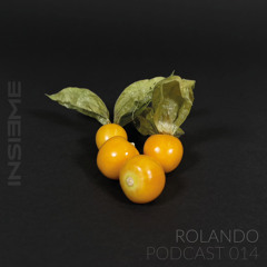 INSIEME Podcast 014 - Rolando