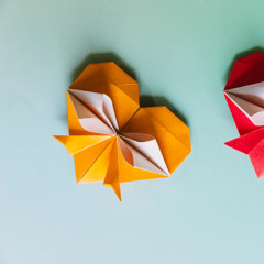 Her Origami Heart